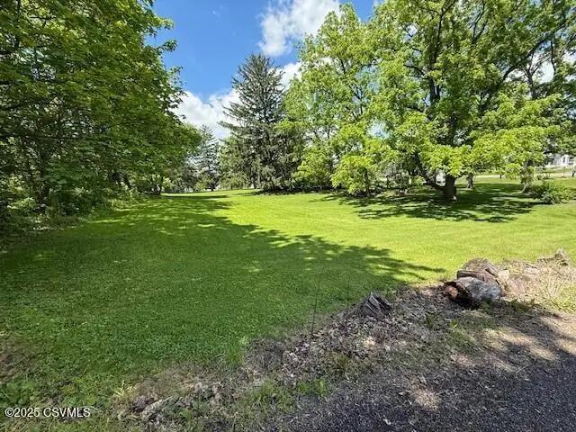 Dickson Avenue, Danville, PA 17821 - #3