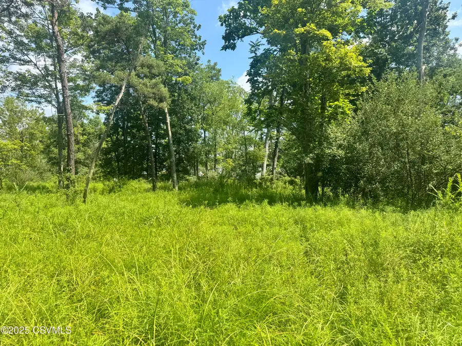 2nd Avenue, Elysburg, PA 17824 - Image #2