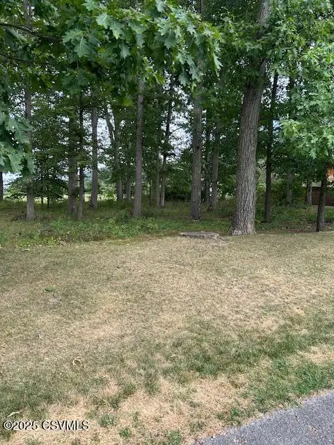 LOT# 5 Hemlock Lane, Elysburg, PA 17824 - Image #2