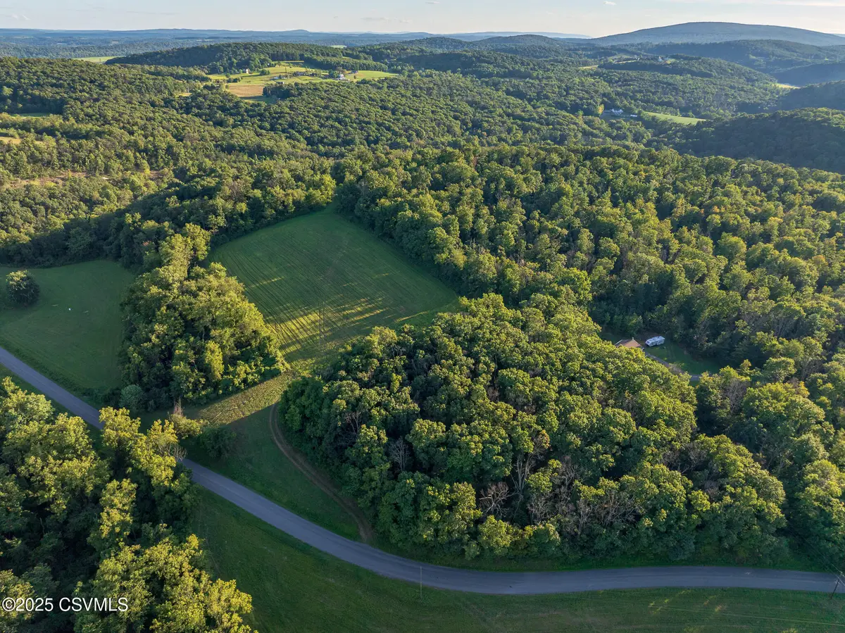 PARCEL 2 Freeburg Road, Middleburg, PA 17842 - #1