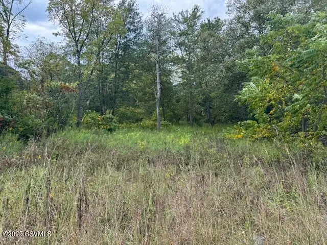 Weishample Road, Hegins, PA 17938 - Image #1