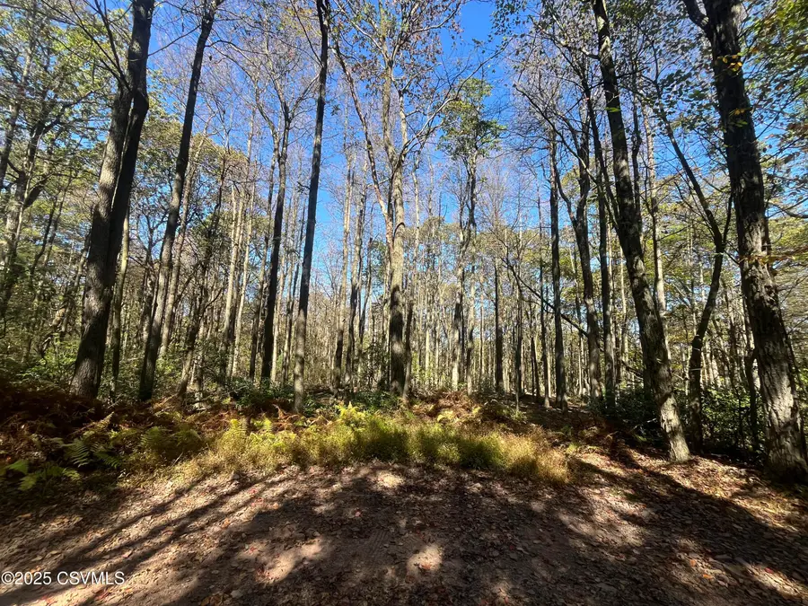 74 & 75 Elm Drive, Catawissa, PA 17820 - #2