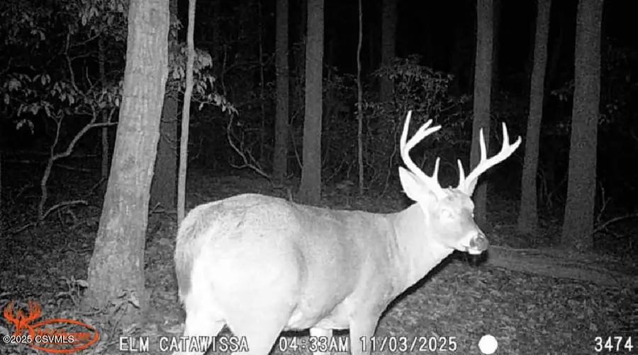 74 & 75 Elm Drive, Catawissa, PA 17820 - #3