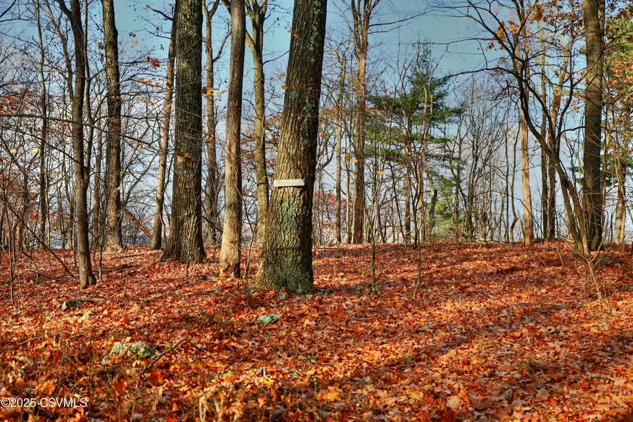 449 Evergreen Lane, Catawissa, PA 17820 - Image #2