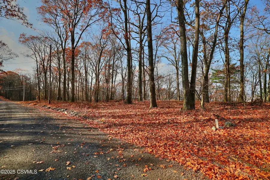 449 Evergreen Lane, Catawissa, PA 17820 - Image #3