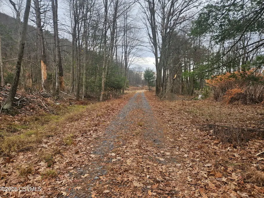 16 Spring Water Boulevard, Ringtown, PA 17967 - Image #2