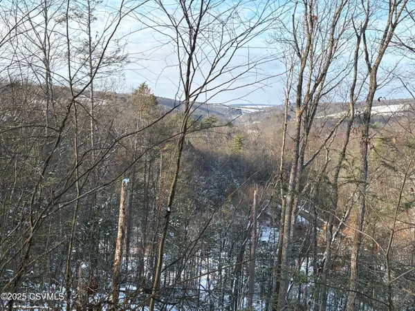 Orchard Drive, Bloomsburg, PA 17815