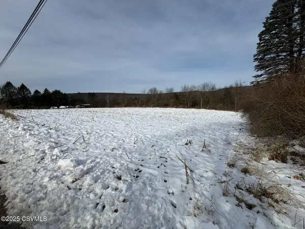 Reber Road, Mifflinburg, PA 17844