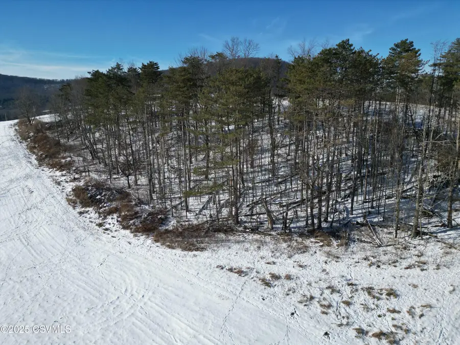 PARCEL 4 Rose Valley Road, Trout Run, PA 17771 - Image #3