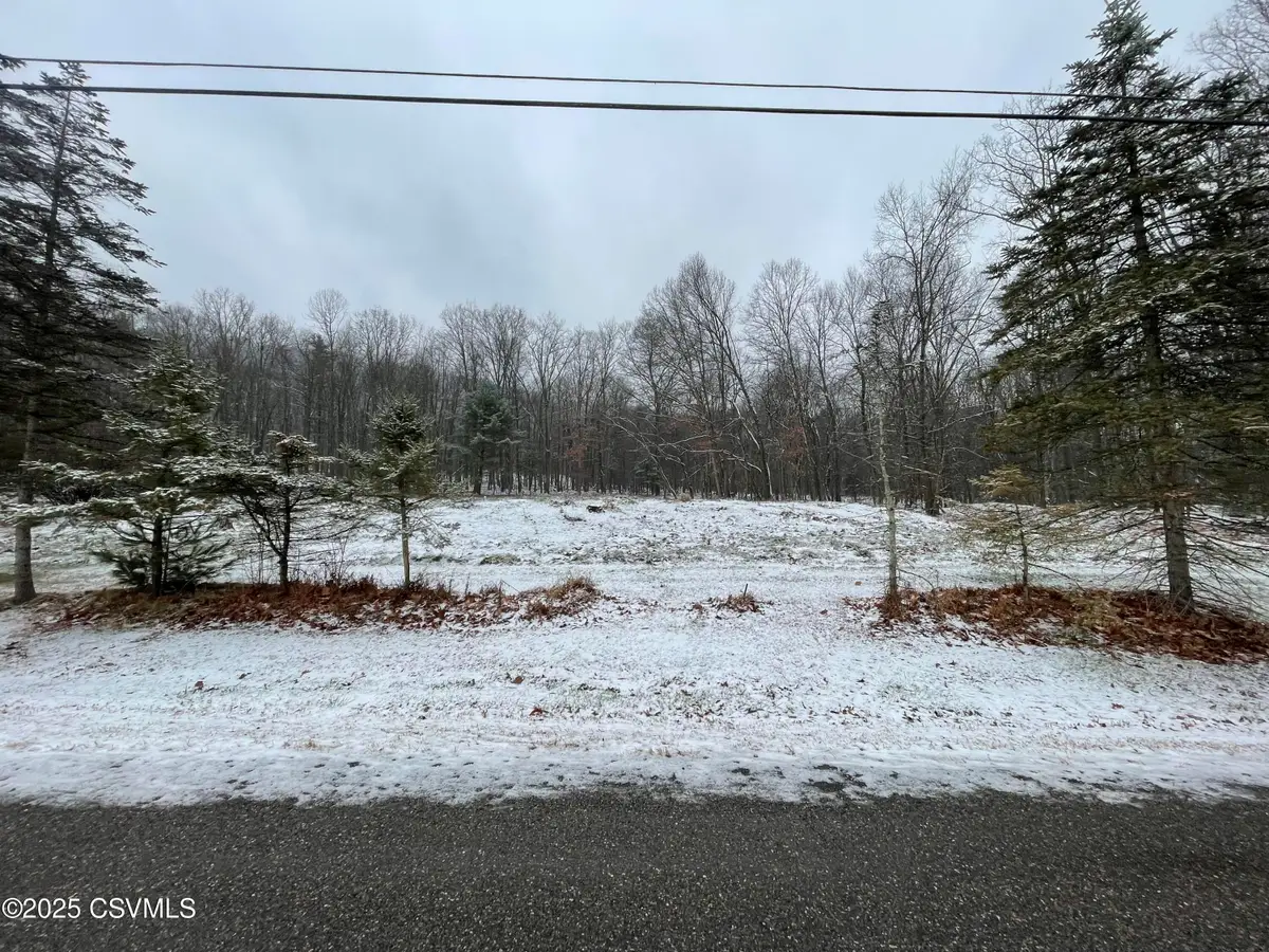 562 Scotch Valley Drive, Bloomsburg, PA 17815 - Image #1