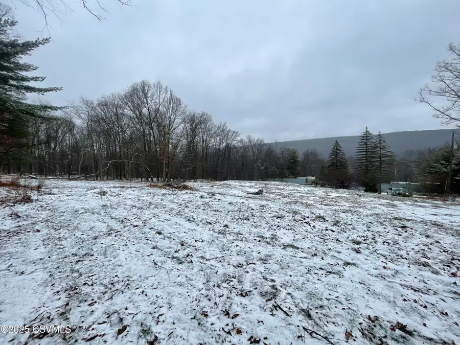 562 Scotch Valley Drive, Bloomsburg, PA 17815 - Image #2