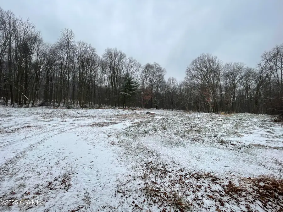 562 Scotch Valley Drive, Bloomsburg, PA 17815 - Image #3