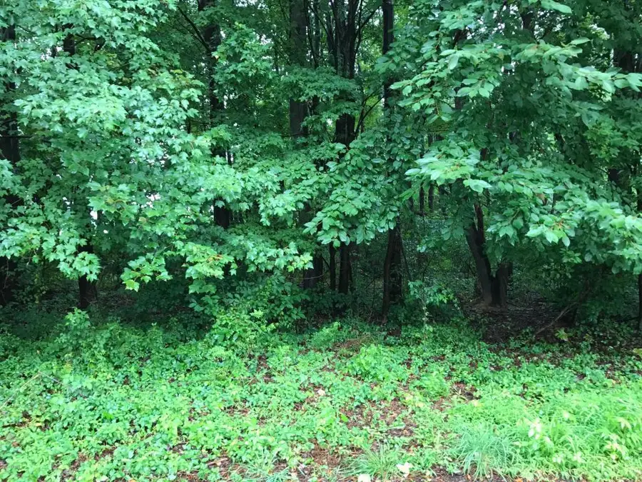 Glenwood Drive, Bloomsburg, PA 17815 - #2