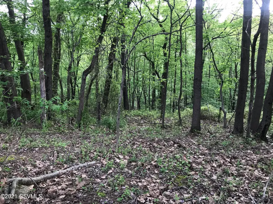 LOTS 41/42 Wild Cherry Lane, Northumberland, PA 17857 - Image #2