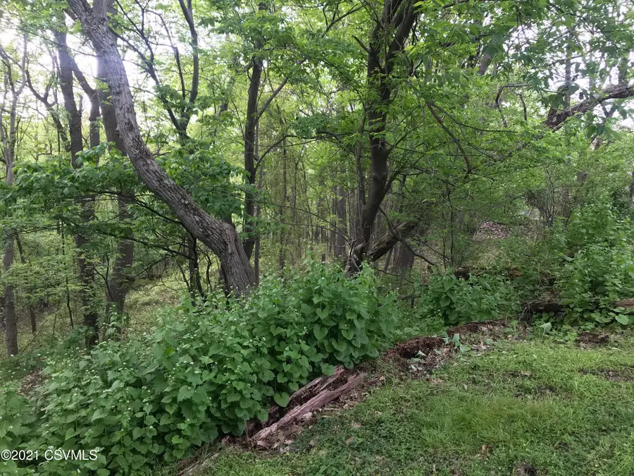 LOTS 41/42 Wild Cherry Lane, Northumberland, PA 17857 - Image #3