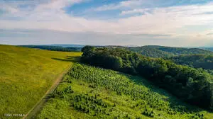 Sugar Camp Road, Danville, PA 17821 - Image #2