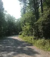 1790 Bobcat Drive, Mifflinburg, PA 17844 - Image #3