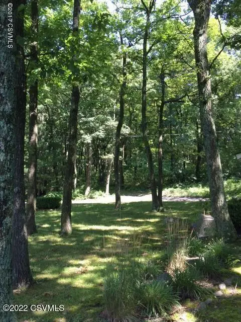 163 Evergreen Lane, Catawissa, PA 17820 - Image #3