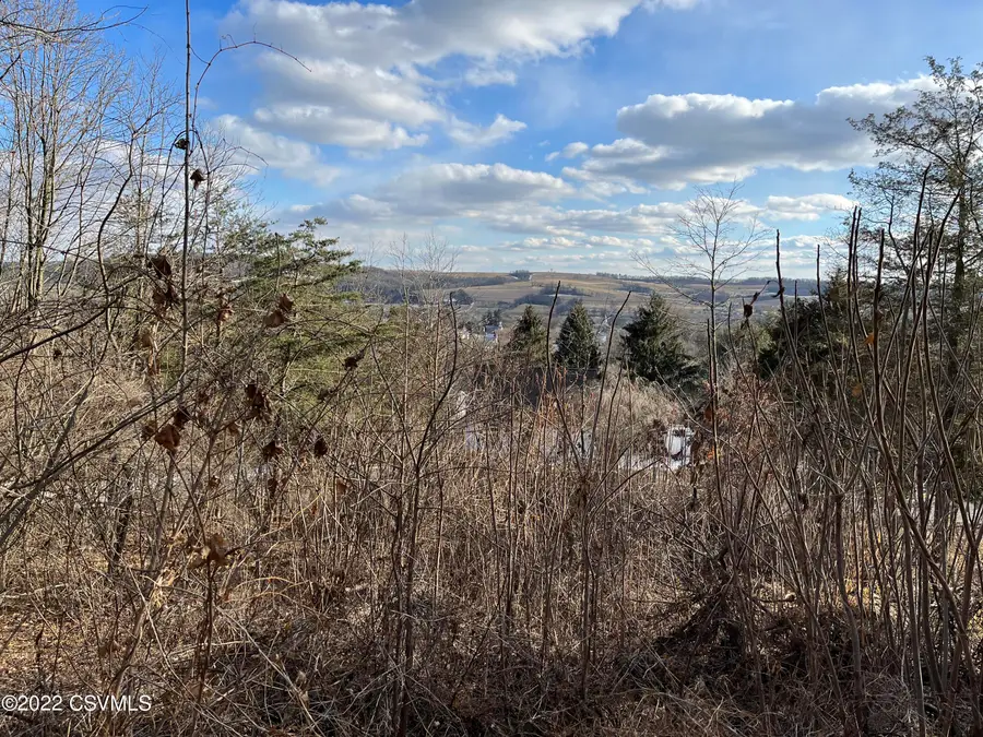 LOT NO. 13 Motter Lane, New Berlin, PA 17855 - Image #3