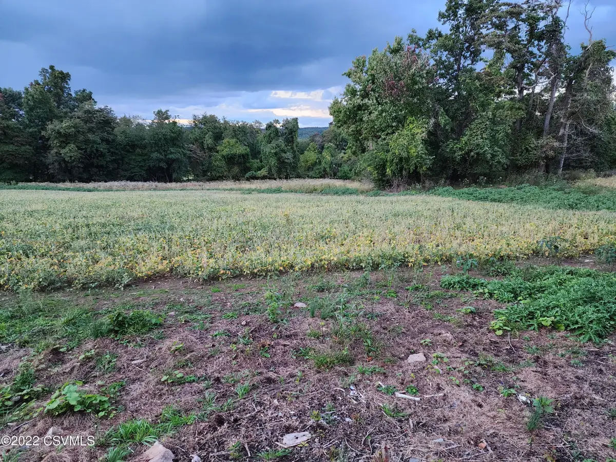 LOT 8 Mountain Road, Paxinos, PA 17860 - Image #1