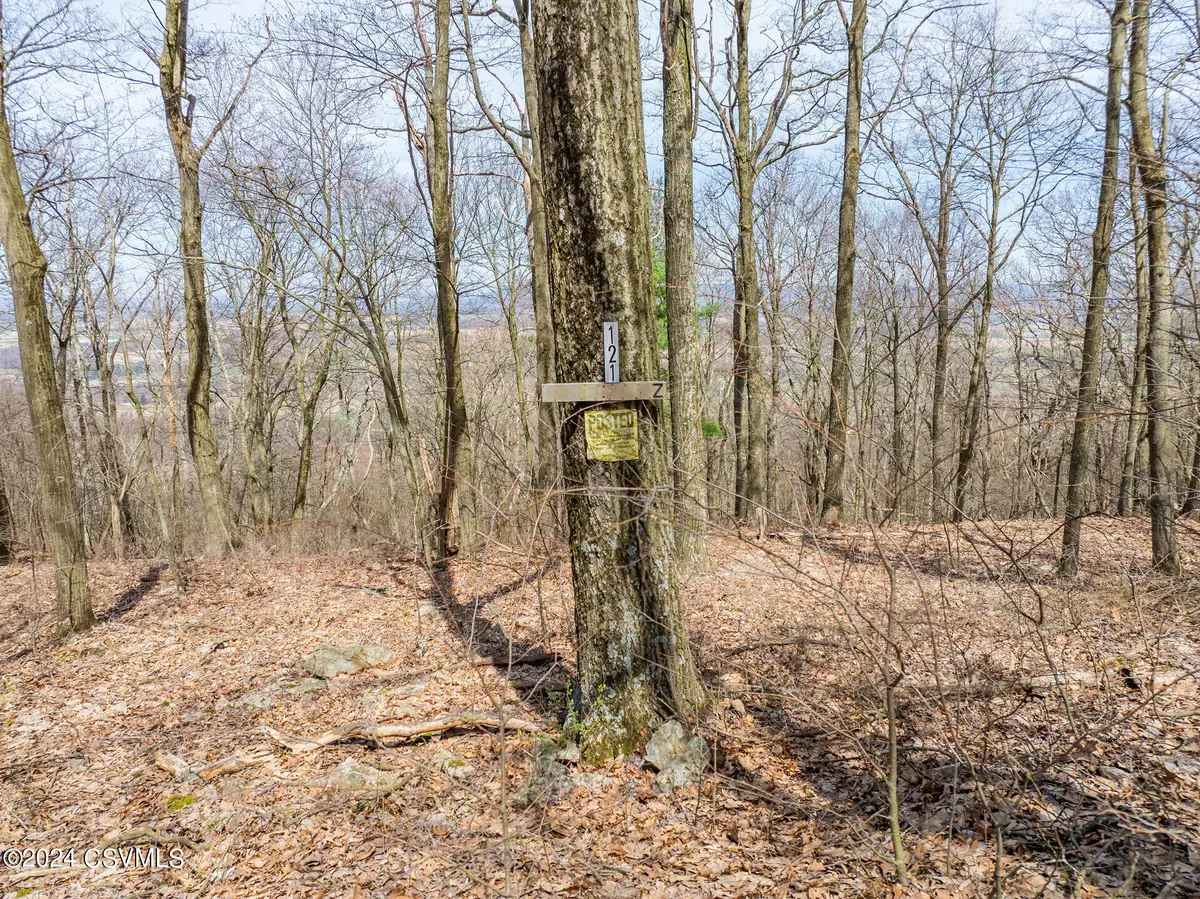 121 Evergreen Lane, Catawissa, PA 17820 - Image #1