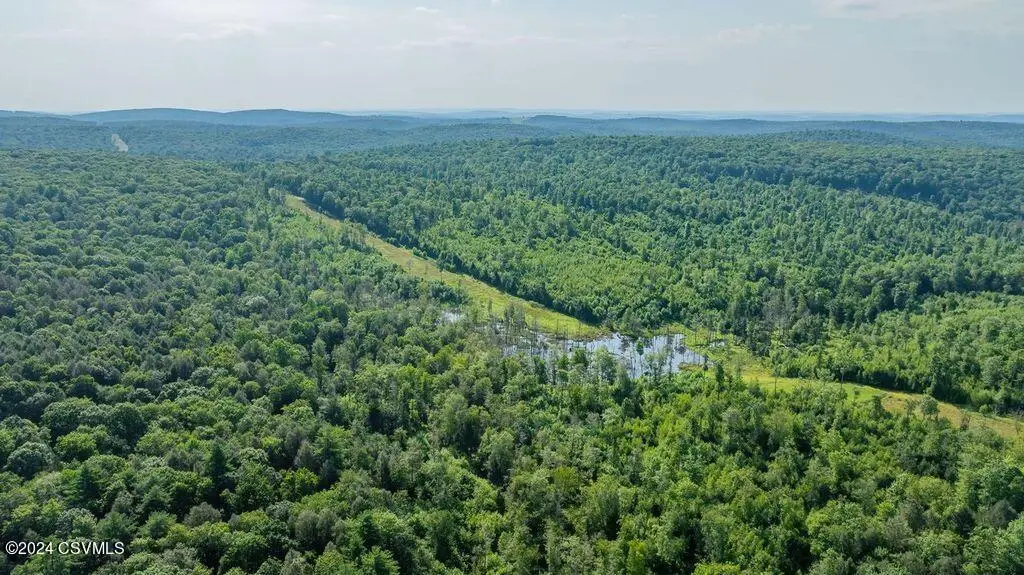 Kyttle Pike Road, Sweet Valley, PA 18656 - Image #1