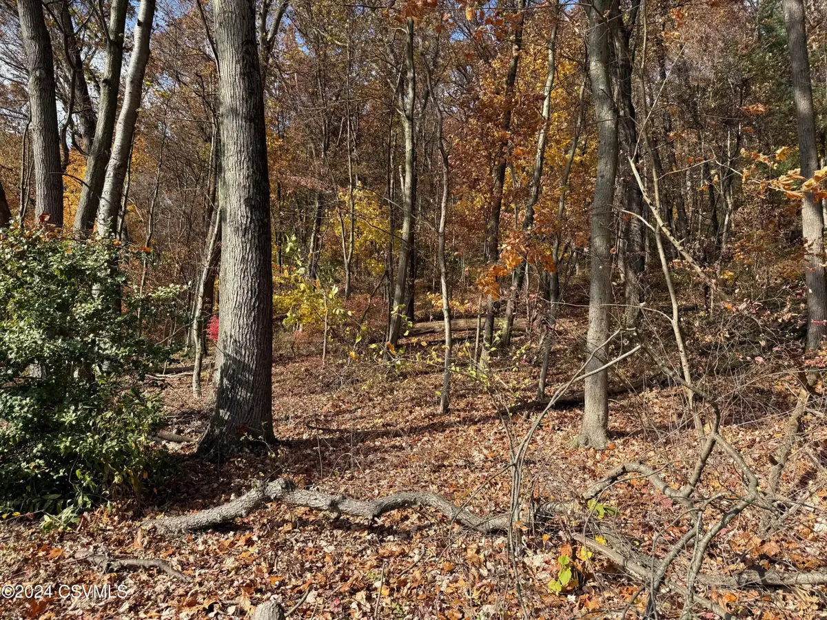 Sycamore Drive, Catawissa, PA 17820 - Image #1