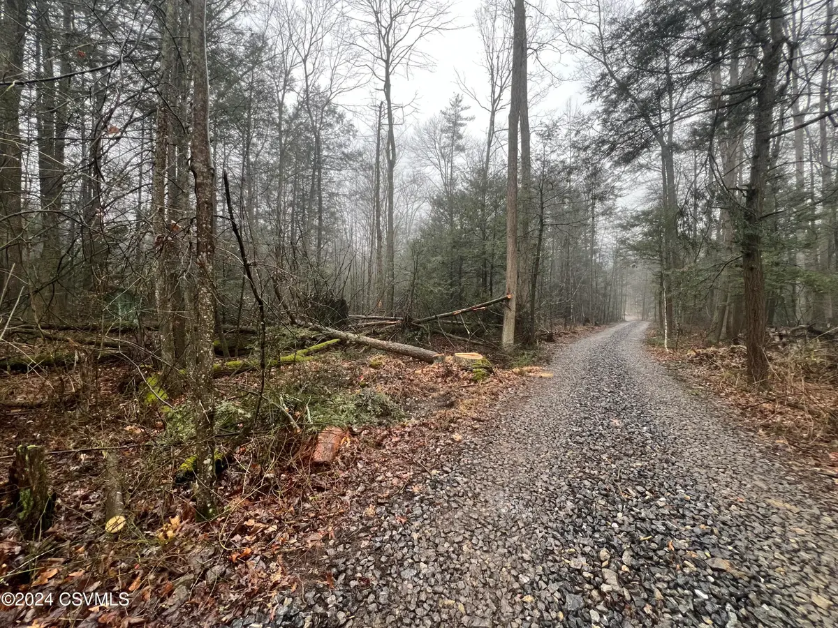 Eureka Lane, Millmont, PA 17845 - Image #1