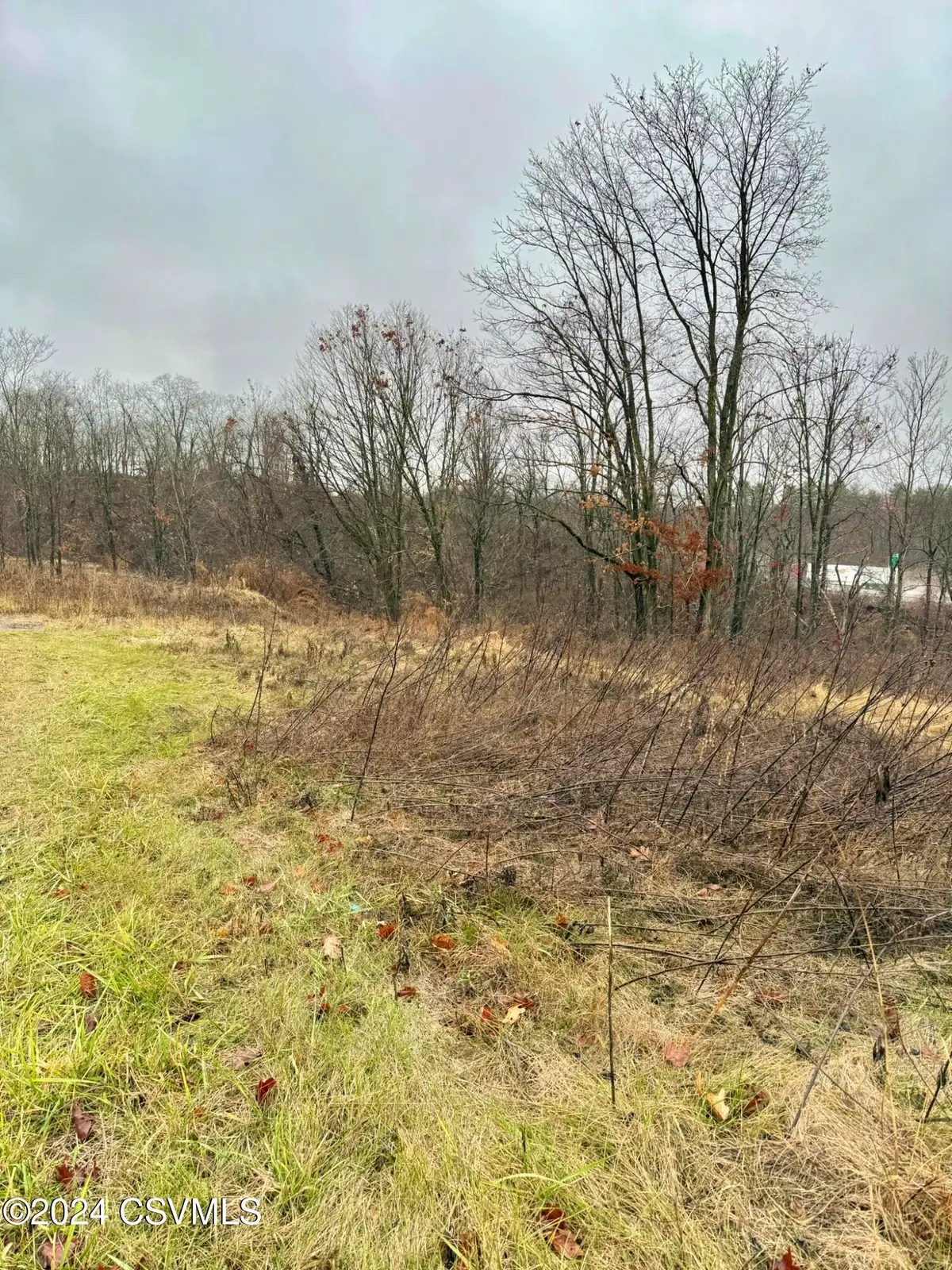 25 Lunger Drive, Bloomsburg, PA 17815 - #1