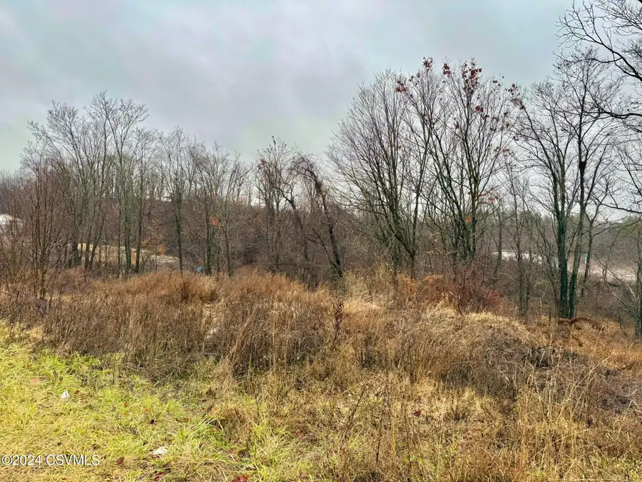 25 Lunger Drive, Bloomsburg, PA 17815 - #3