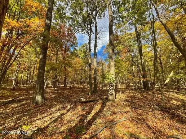 40 Wood Ridge Lane, Northumberland, PA 17857