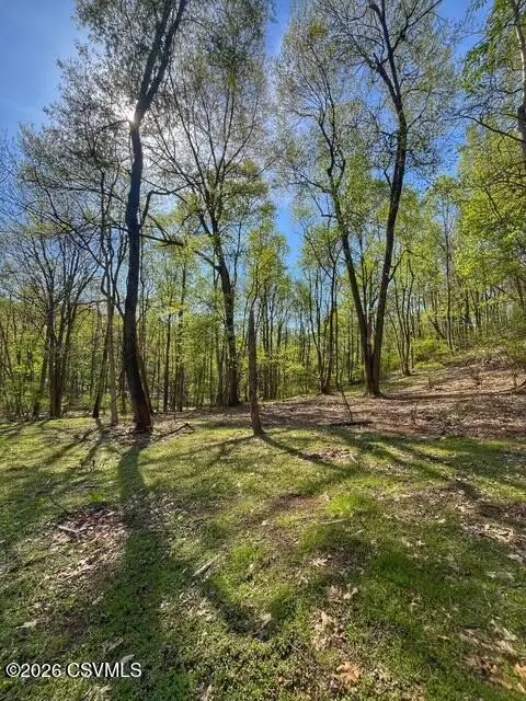 LOT Old Danville Highway, Northumberland, PA 17857