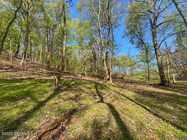 LOT Old Danville Highway, Northumberland, PA 17857 - #3
