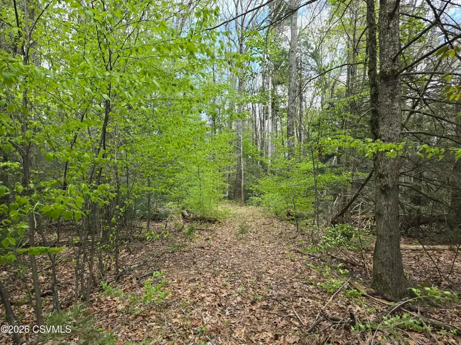 Silva Lane, New Columbia, PA 17856 - #3