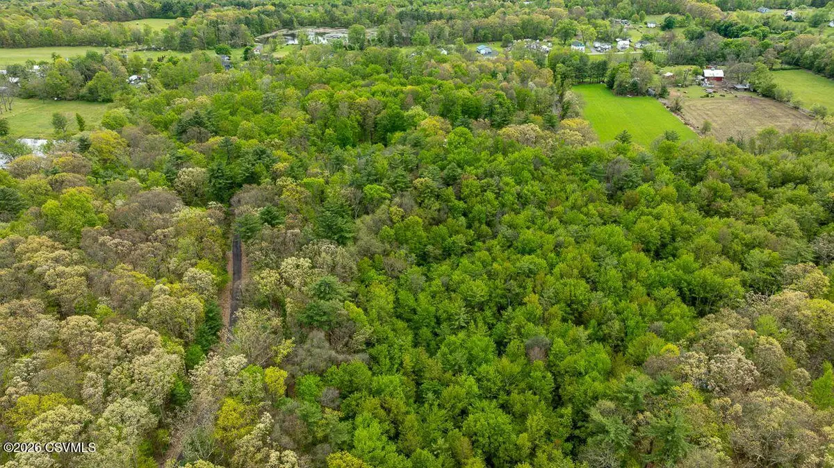 Firehall Road, Conyngham, PA 18219 - #1
