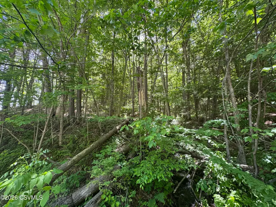 442 State Street, Millville, PA 17846 - #2
