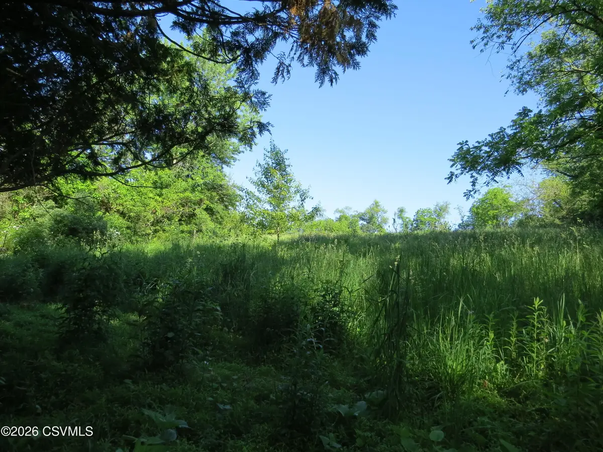 Chapins Road, Bloomsburg, PA 17815 - #1