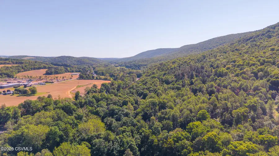57 Roberts Road, Orangeville, PA 17859 - #3