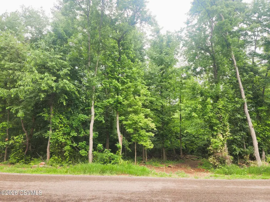 LOT #1 Shamrock Road, Paxinos, PA 17860 - #2