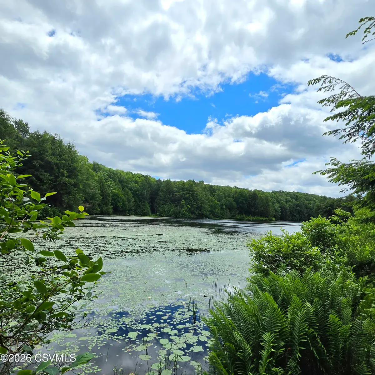 LOT 9 Deep Hollow Run, Muncy Valley, PA 17758 - #1