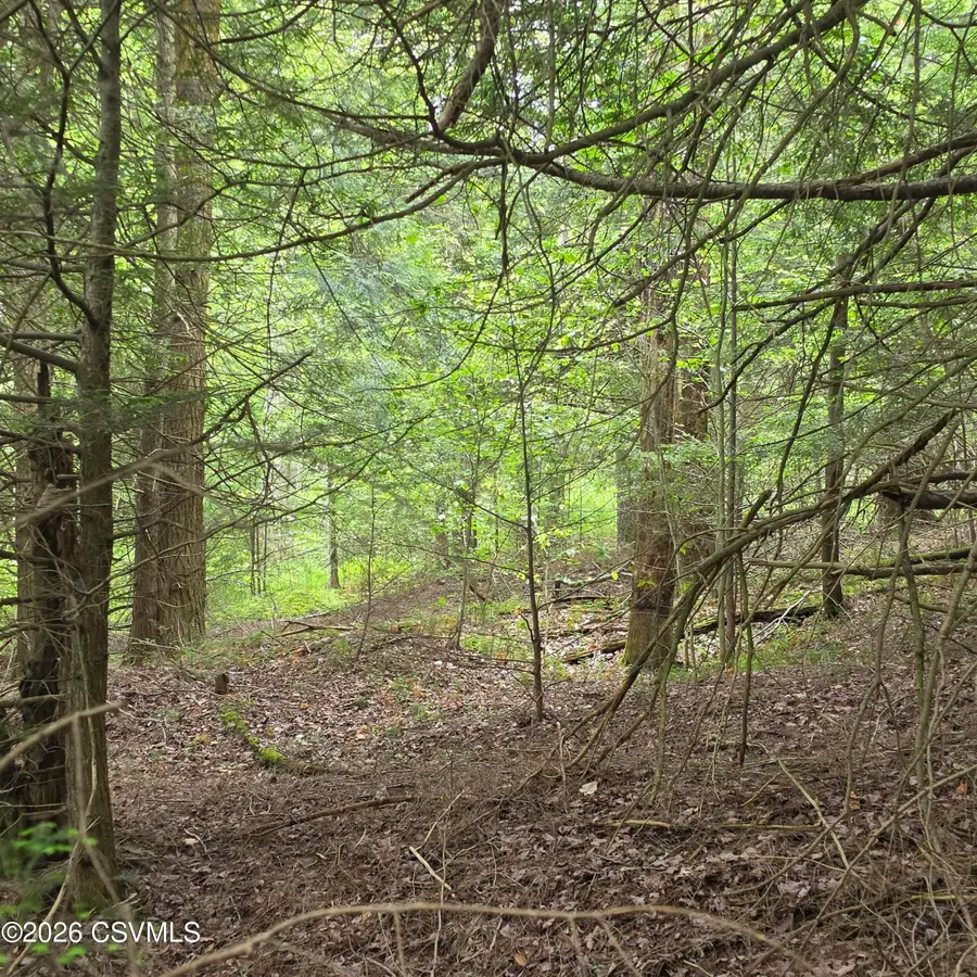 LOT 9 Deep Hollow Run, Muncy Valley, PA 17758 - #3