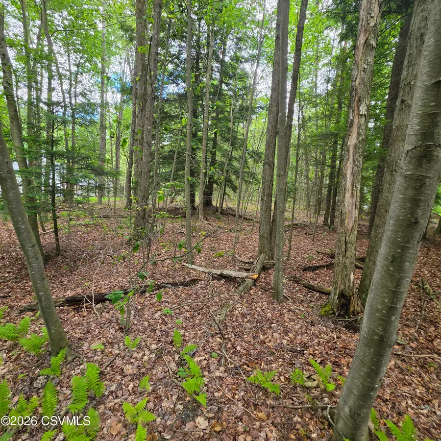 LOT 21 Nordmont Road, Muncy Valley, PA 17758 - #3