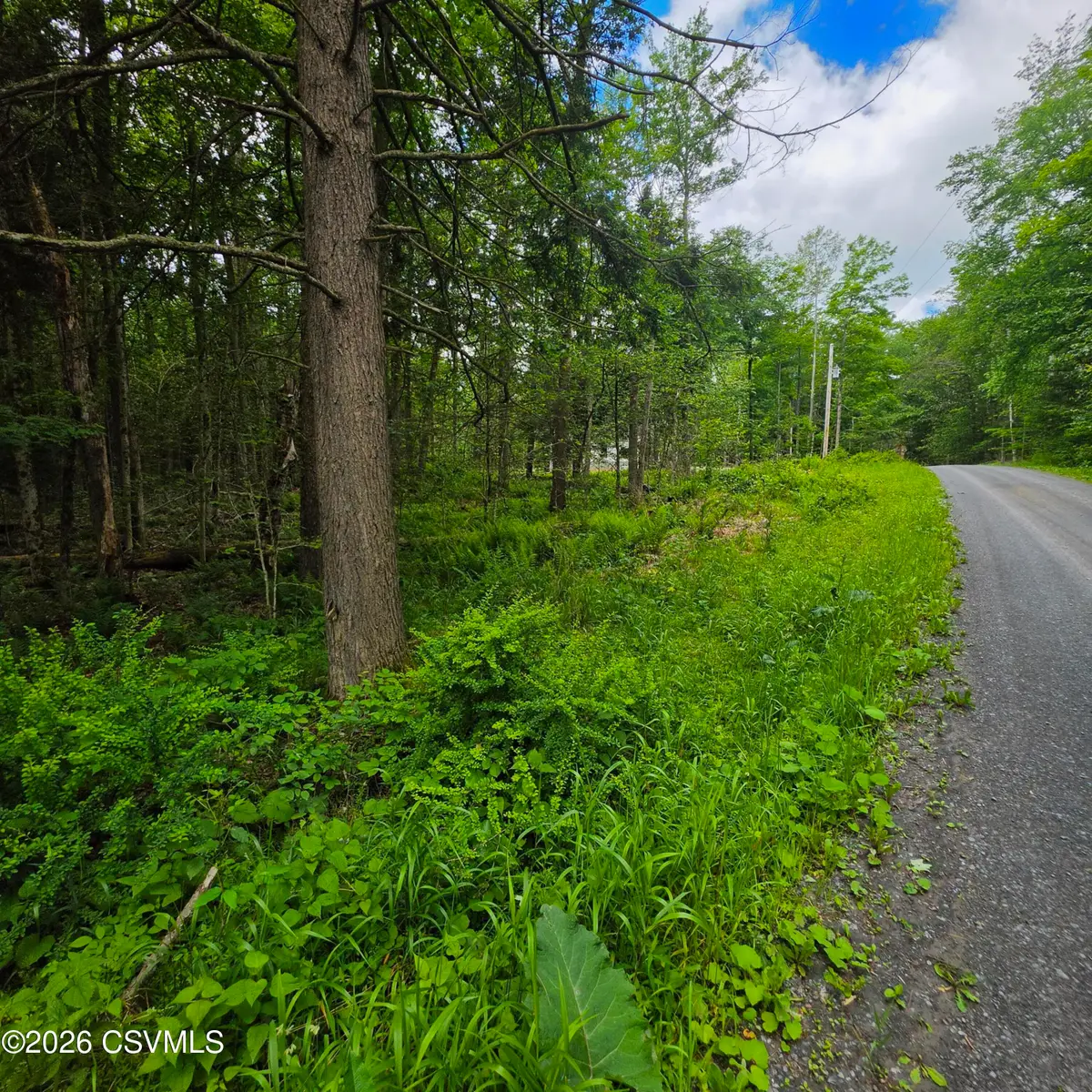 LOT 23 Wooded Lane, Muncy Valley, PA 17758 - #1