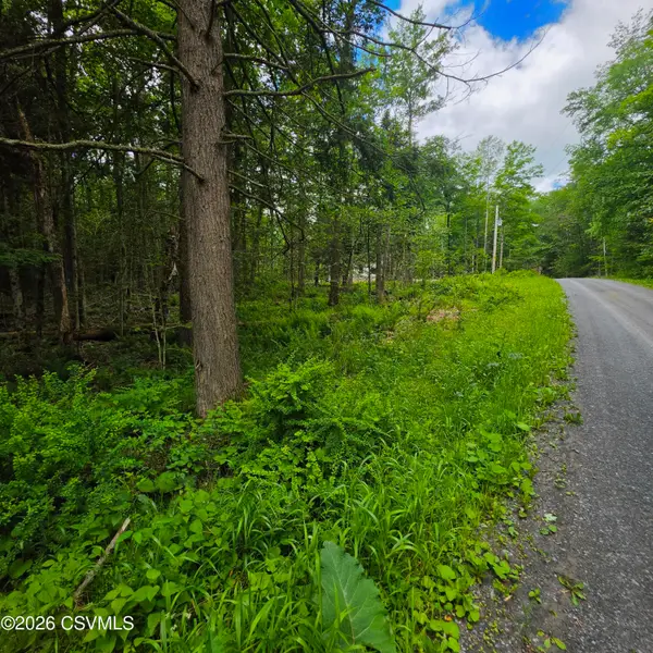LOT 23 Wooded Lane, Muncy Valley, PA 17758