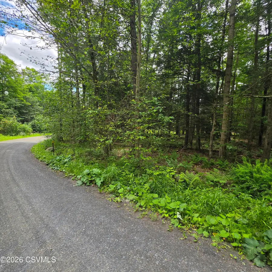 LOT 23 Wooded Lane, Muncy Valley, PA 17758 - #2