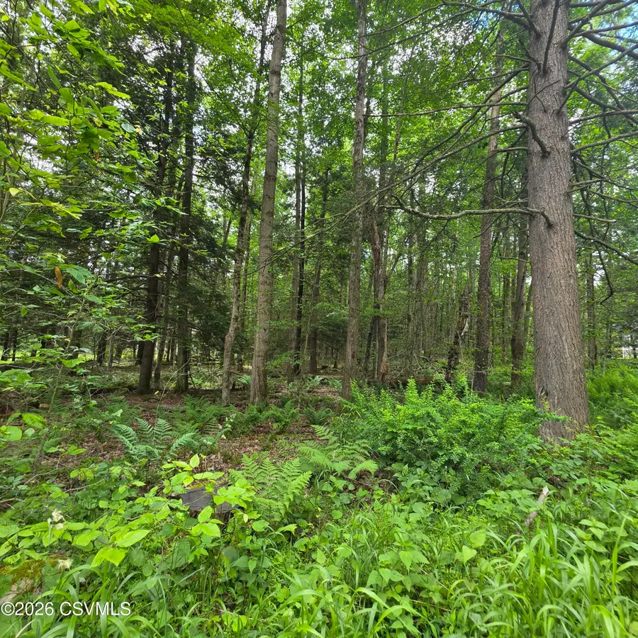 LOT 23 Wooded Lane, Muncy Valley, PA 17758 - #3