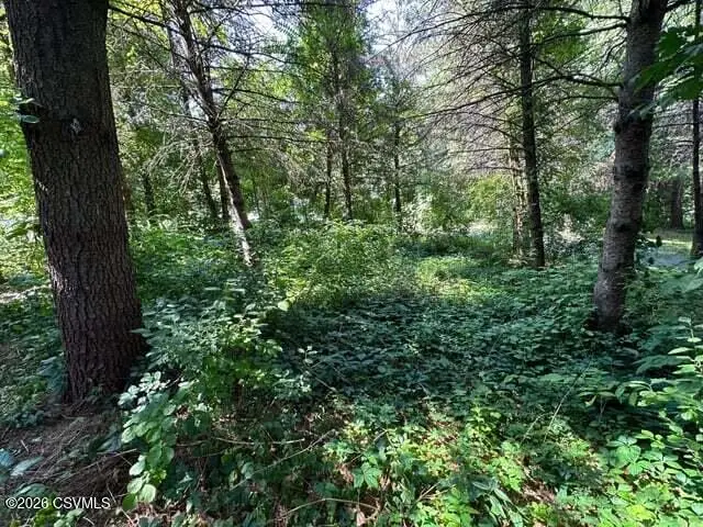 LOT 5 Payne Run Road, Dushore, PA 18614 - #1
