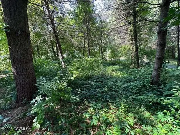 LOT 5 Payne Run Road, Dushore, PA 18614