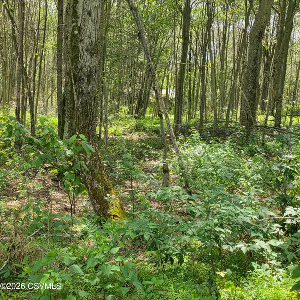 LOT 2 Pioneer Trail, Muncy Valley, PA 17758