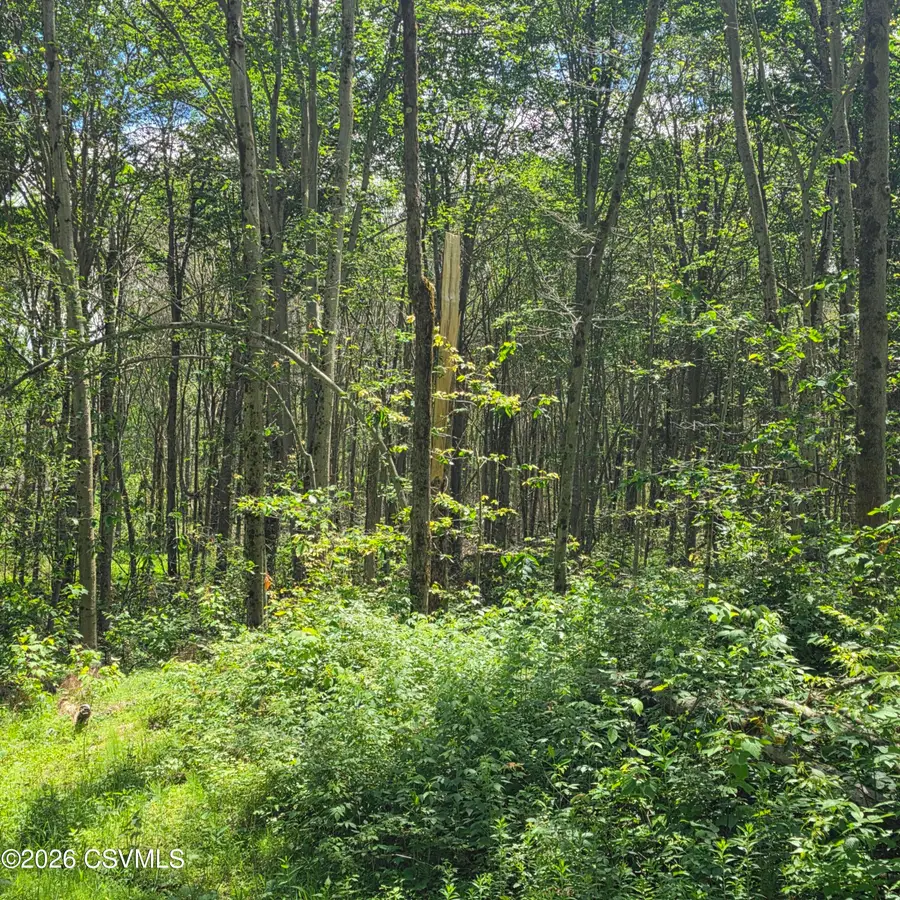 LOT 2 Pioneer Trail, Muncy Valley, PA 17758 - #2